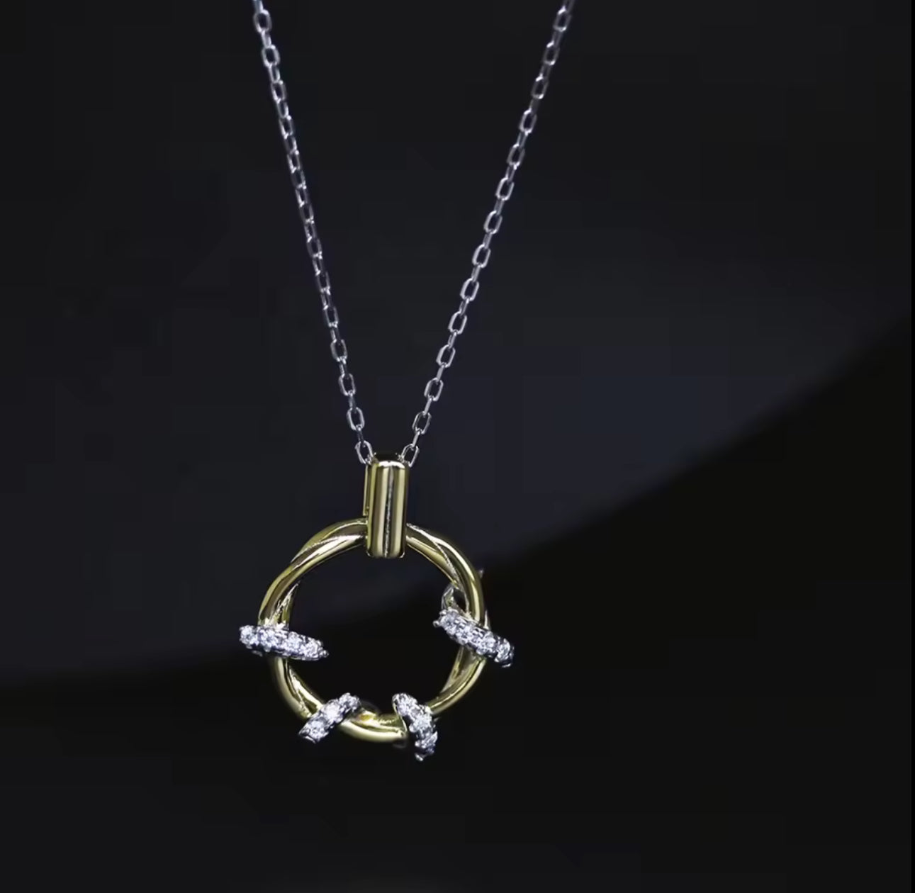 Two Tone Twisted Circle Necklace
