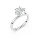 Reine-round brilliant daiamond
