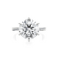 Dania-round brilliant diamond