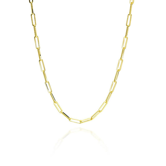 Gold Clip Chain Link